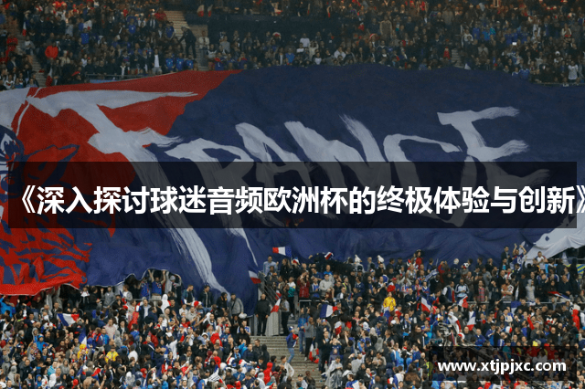 《深入探讨球迷音频欧洲杯的终极体验与创新》