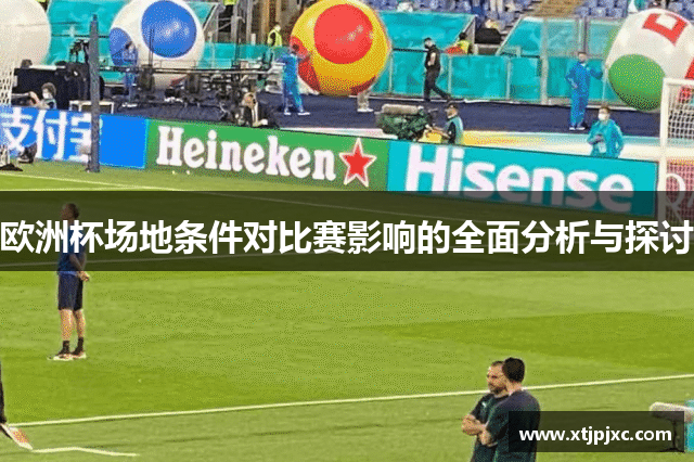 欧洲杯场地条件对比赛影响的全面分析与探讨