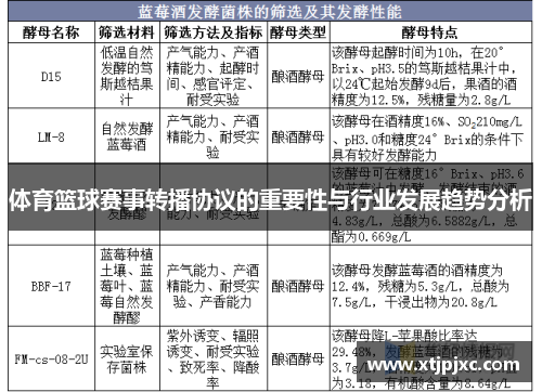 体育篮球赛事转播协议的重要性与行业发展趋势分析