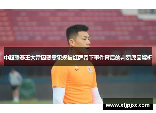 中超联赛王大雷因恶意犯规被红牌罚下事件背后的判罚原因解析