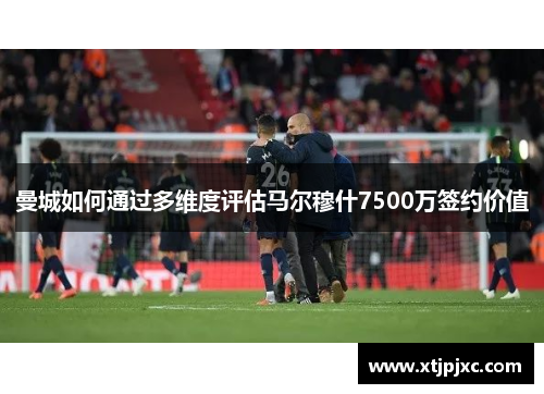 曼城如何通过多维度评估马尔穆什7500万签约价值